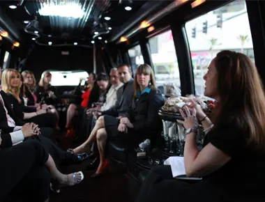 Private Chauffeur for Concert and Festival Travel
