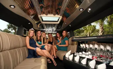 Luxury Fleet for Concert and Festival Transportation